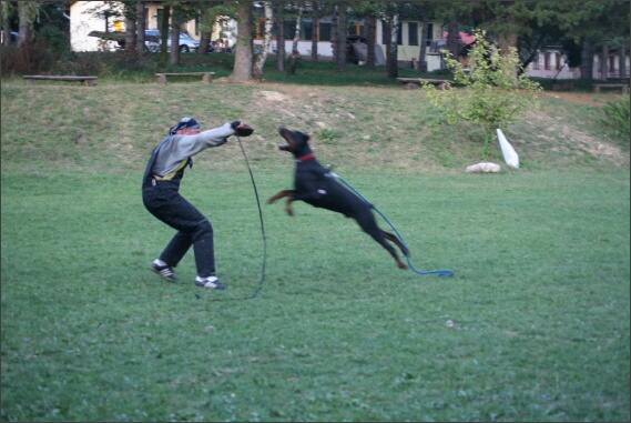 Summer training camp - Jelenec - 2007